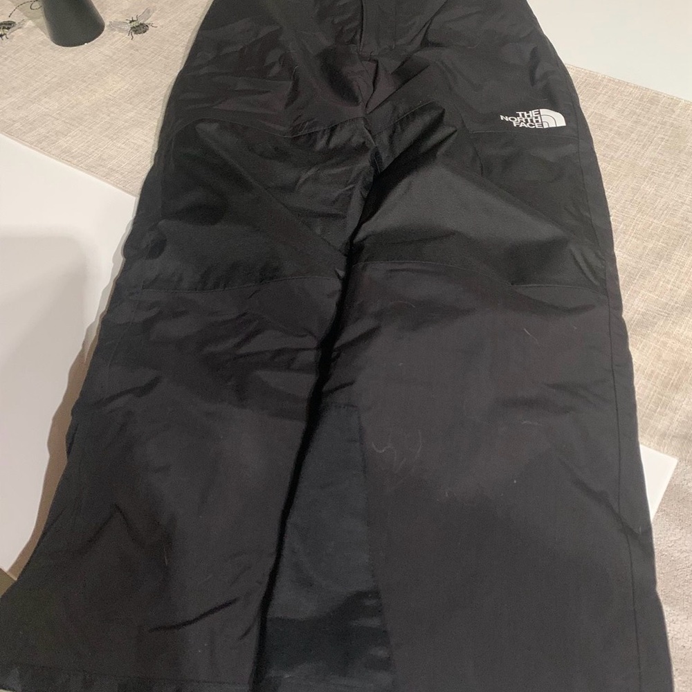 The North Face Black Snow pants